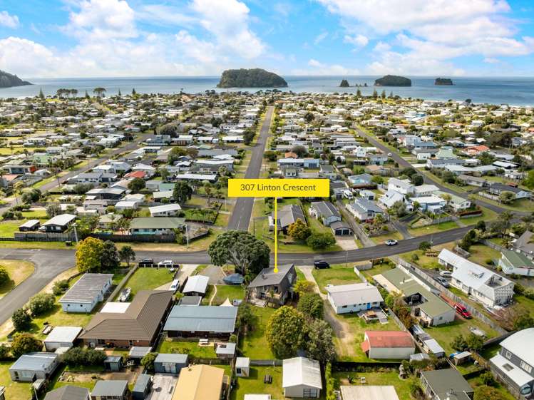 307 Linton Crescent Whangamata_20