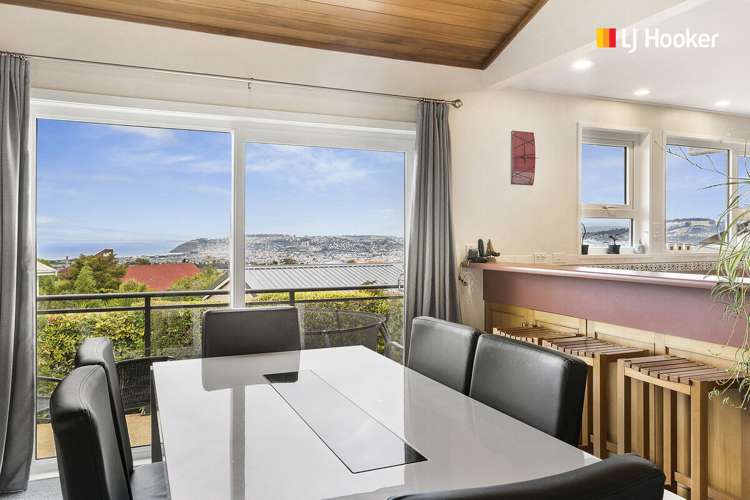 244 Larnach Road Waverley_7