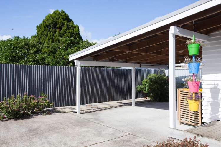 2/400 Carrington Street Upper Vogeltown_10