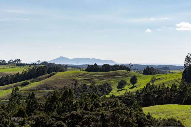 205 Cemetery Road Te Arai_25