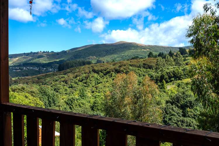 97 Hillary Street Liberton_5