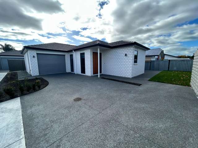 71 Auckland Road Greenmeadows_1