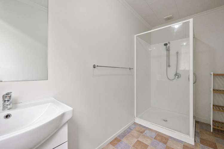 17a Buccleugh Street North East Valley_15