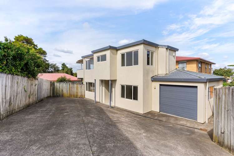 8 Tripoli Road Panmure_0