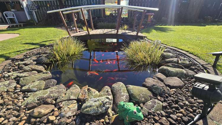 16 Lancaster Crescent Tokoroa_19