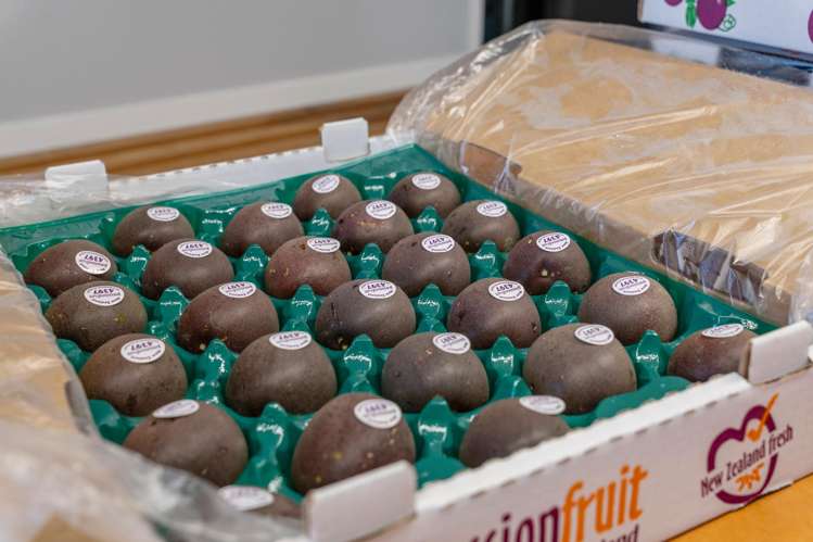 241 Rea Road Katikati_26