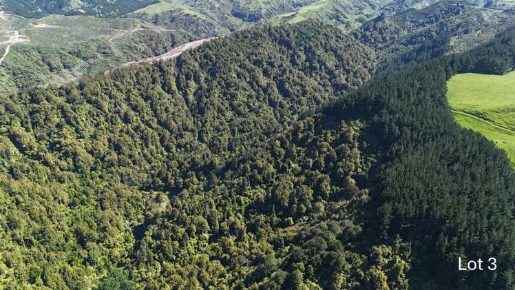 Lot 3 and 7/1005 Rangitatau East Road Kai Iwi_8