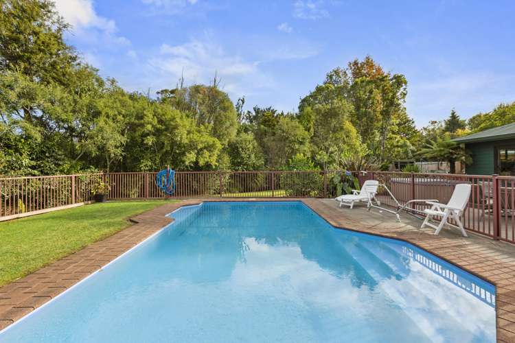 8 Totara Grove Raglan_3