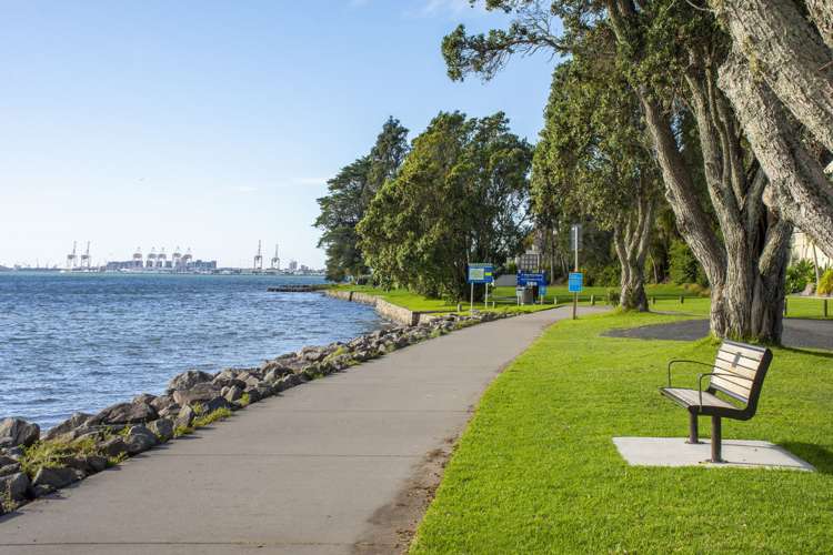 8a Freyberg Street Saint Kilda_24