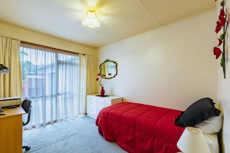 56 Freyberg Avenue Tamatea_8