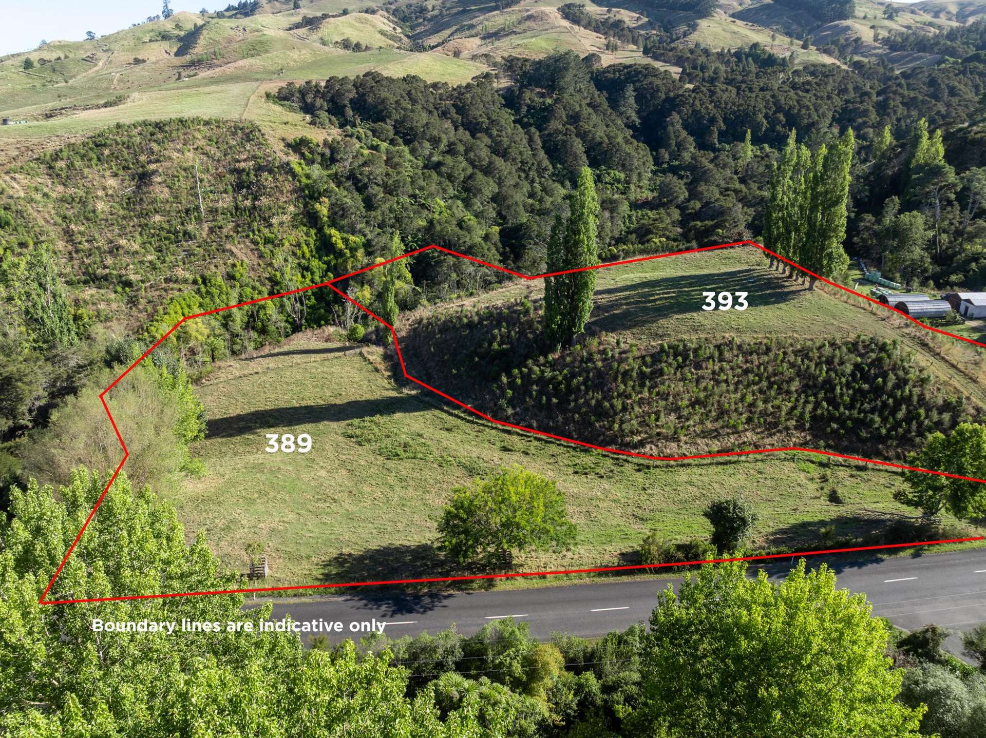 351, 389, 393 French Pass Road Cambridge_0