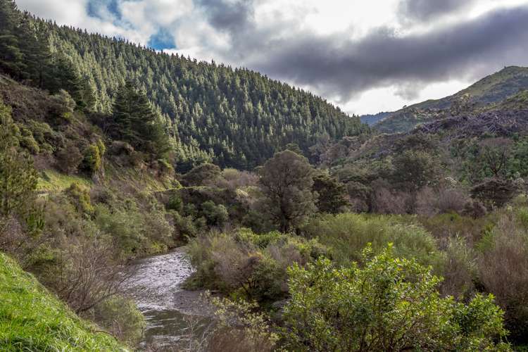 512 Mangatarere Valley Road Carterton_16