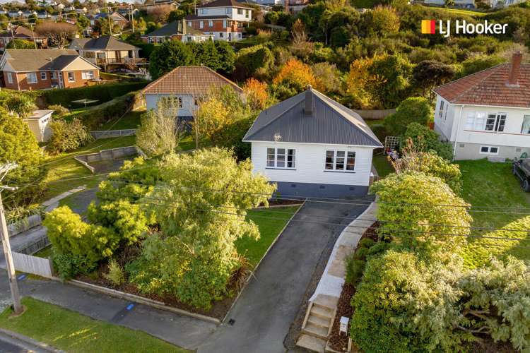 113 Chapman Street Wakari_22