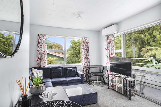 29b Tomin Road Glenview_4