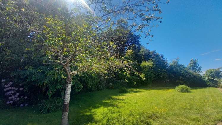 11,13 Birch Street Tuatapere_17