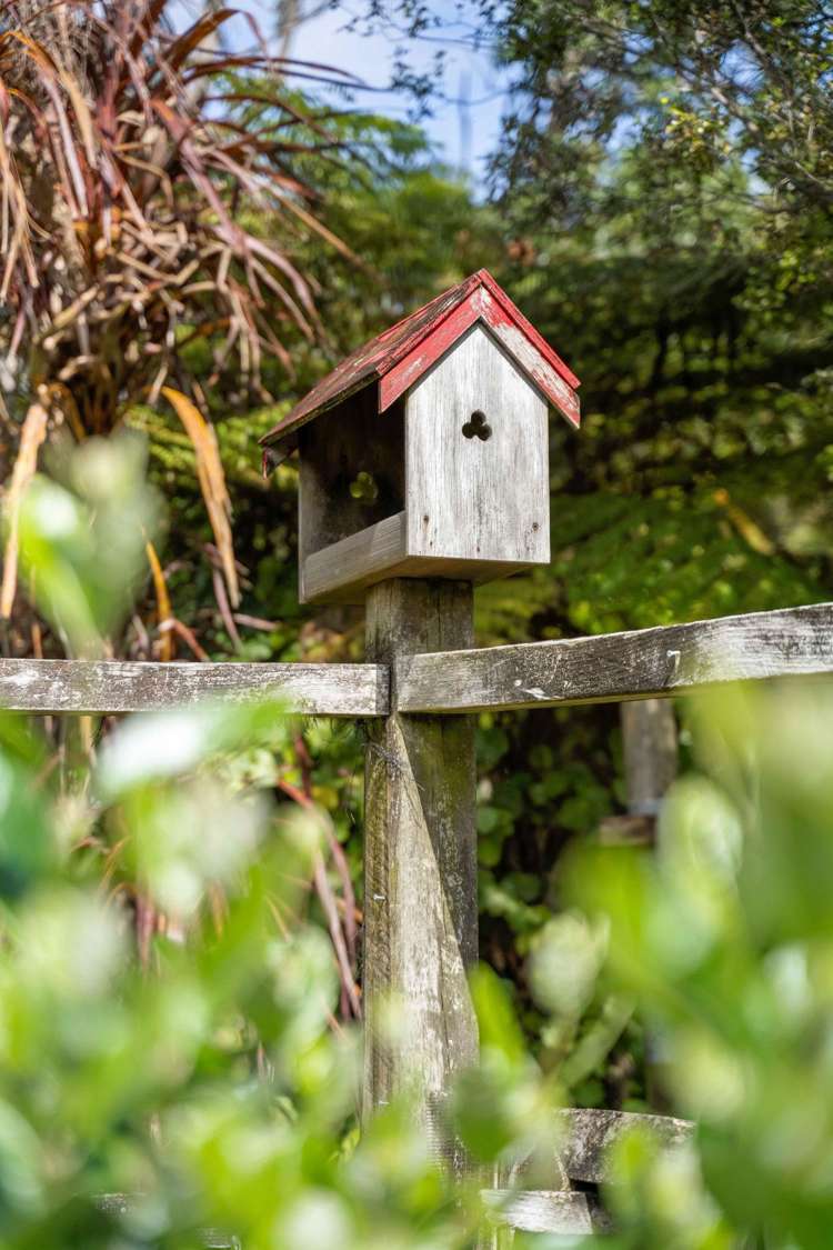 16 Mount Ave Pauanui_13