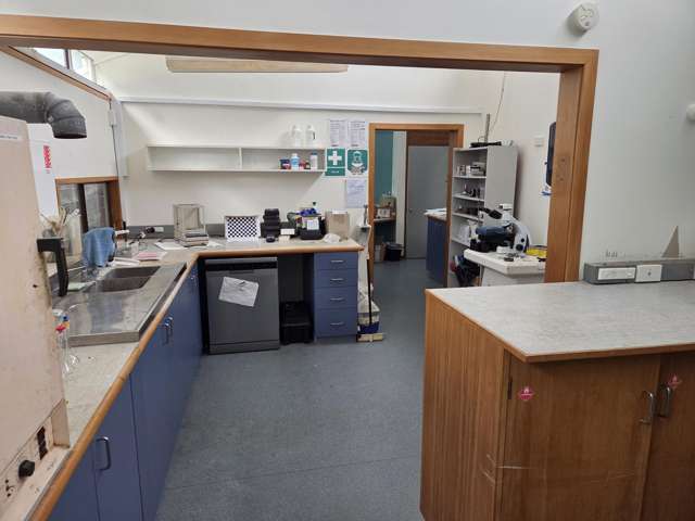 11 and 12/17 Nobs Line Strandon_3