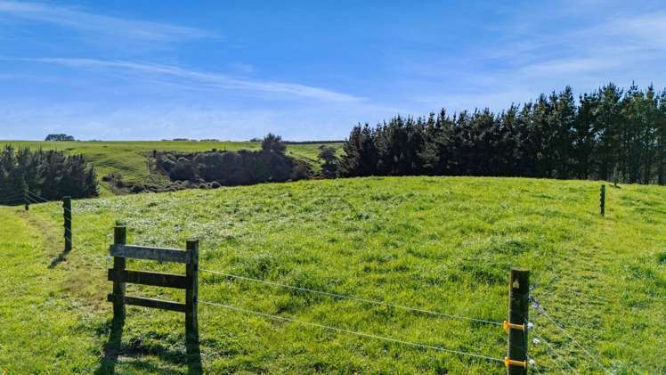 2A Ropata Street Hawera_32