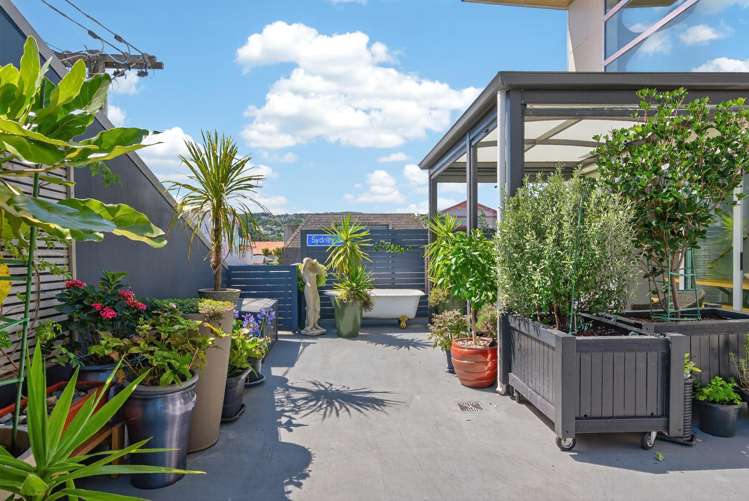 46A Sydney Street Petone_14