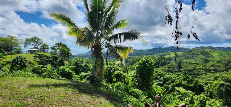 Lot 8 Raintree, Oneva Savusavu_20
