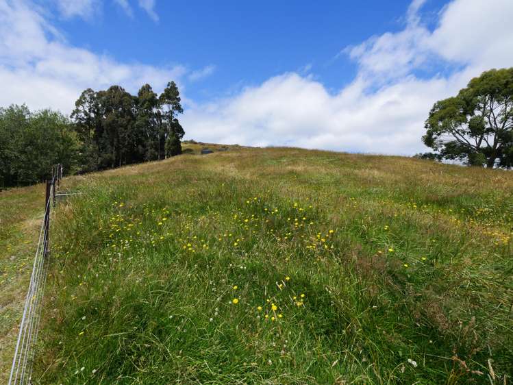 6 Peel Street Allanton_32