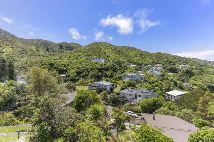 123 Awarua Street Ngaio_12