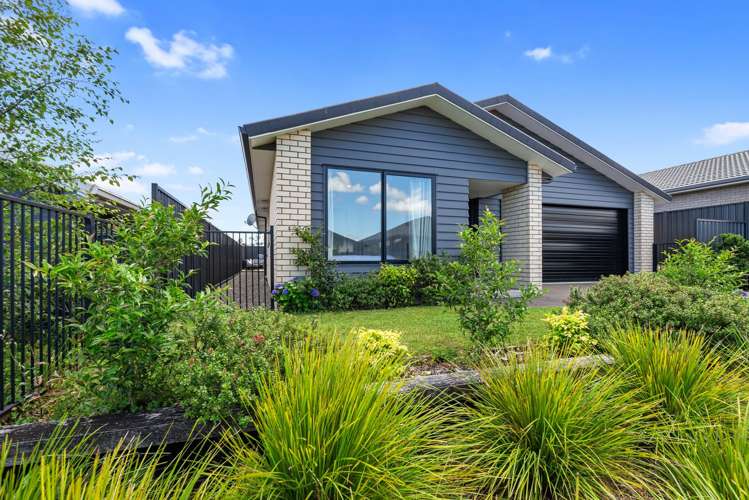 16 Pioneer Crescent Omokoroa_9