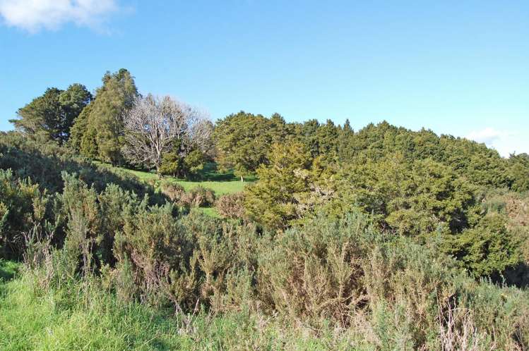 36 Tawa Avenue Kaiwaka_9