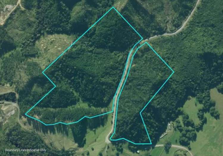 Pokapu Road Matawaia_15