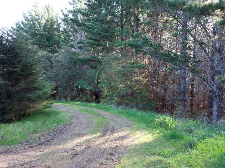 425l Boat Harbour Road Whenuakite_13