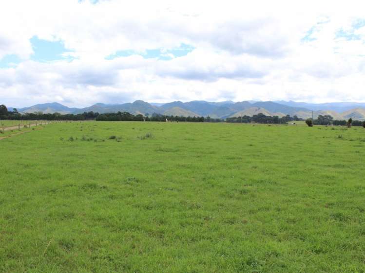 268 Ngamoko Road Norsewood_23