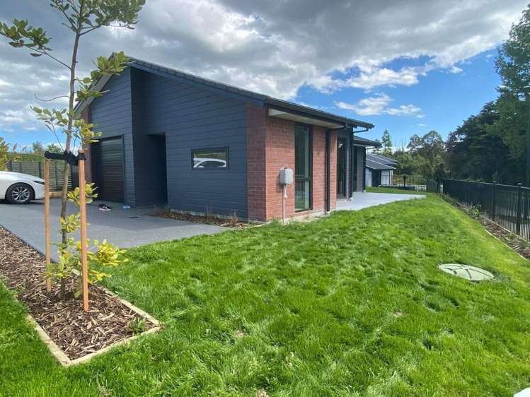 13 Tay Street Glenbervie_5