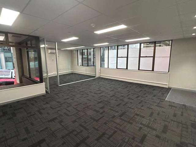 1/11 Aurora Terrace Wellington Central_3