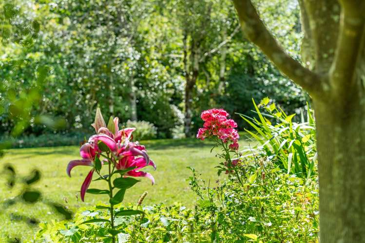 1031 Blue Mountains Road Blue Mountains_20