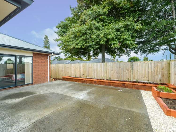 51 Tupelo Street Pukete_11