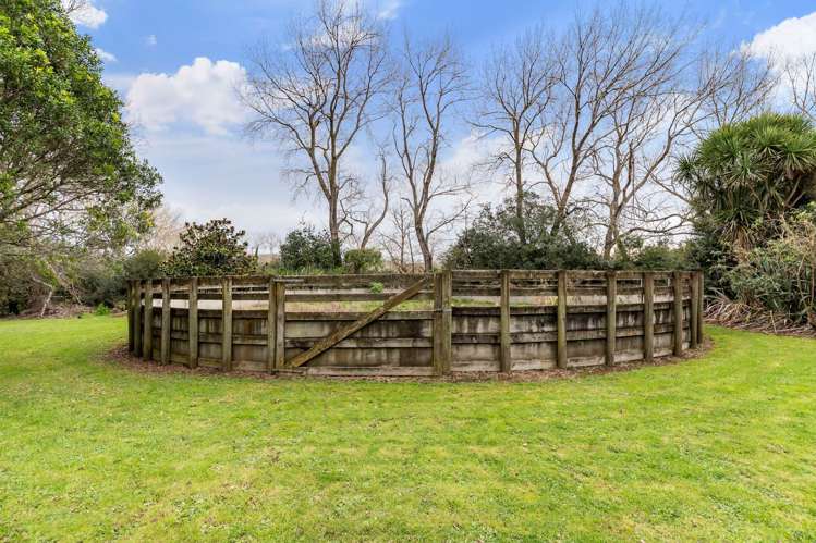 180 Andrews Road Onewhero_29