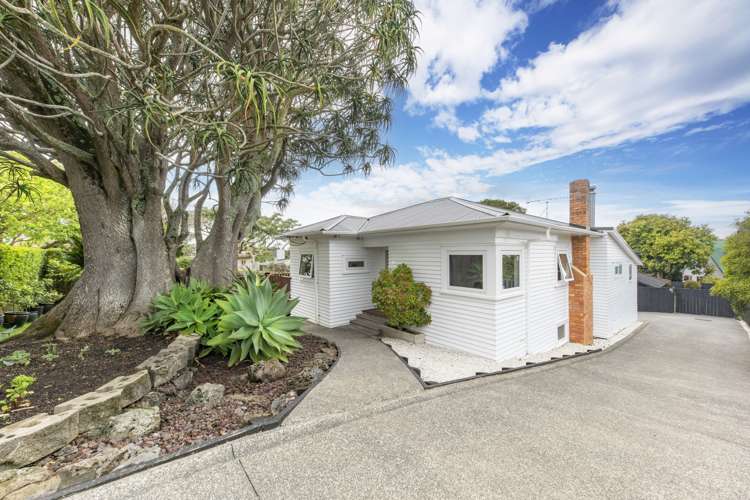 15a Taiere Terrace Onehunga_22