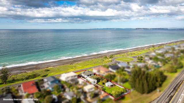 230 Whirinaki Road Eskdale_1