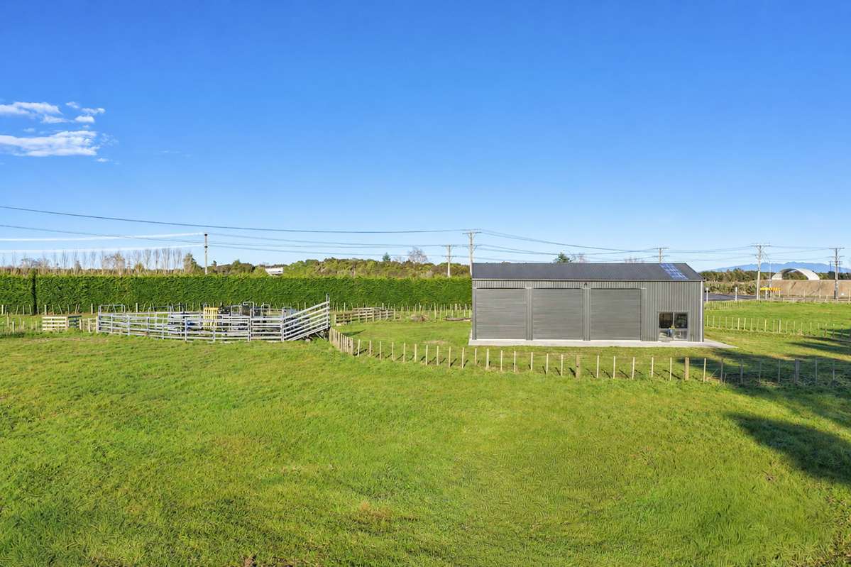166 Swayne Road_3