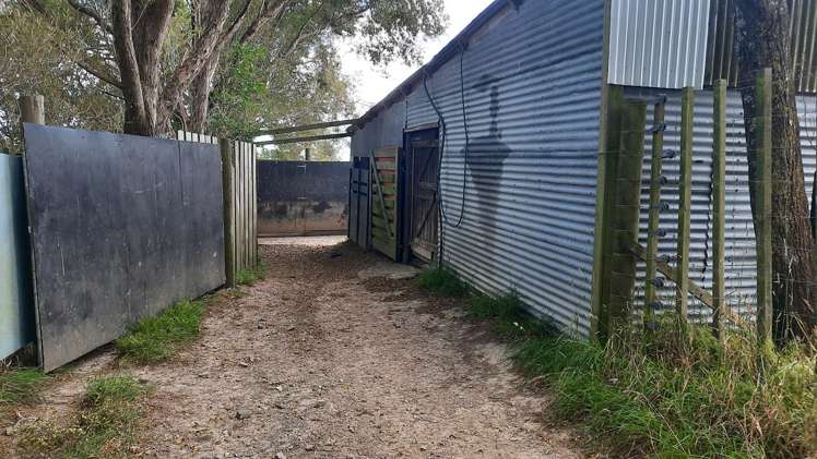 429 Scotts Road Linton_23