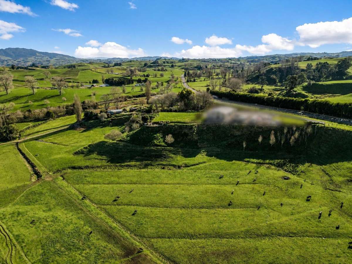 9B Puketirau Road_3
