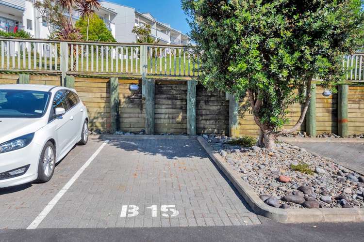 B15/60 Masons Road Oteha_19