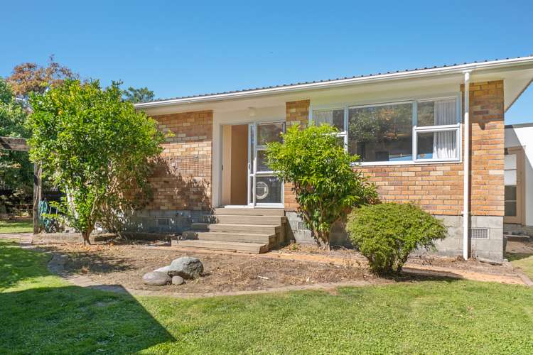 91 Manu Crescent Upper Vogeltown_19