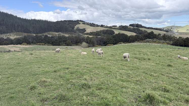 54A Ross Road Topuni_6
