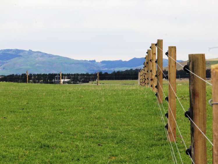 528 Ram Paddock Road Broomfield_4