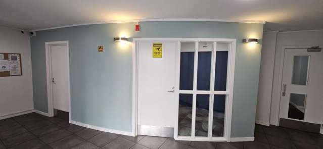 S/7 Feltex Lane Te Aro_3