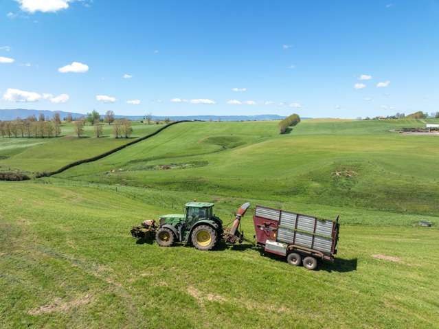 263 Paratu Road, Walton Matamata_2