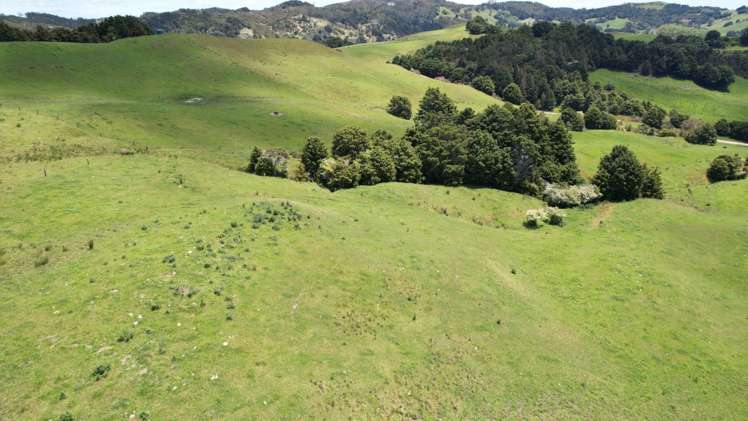 95 Mason Road Maromaku_13