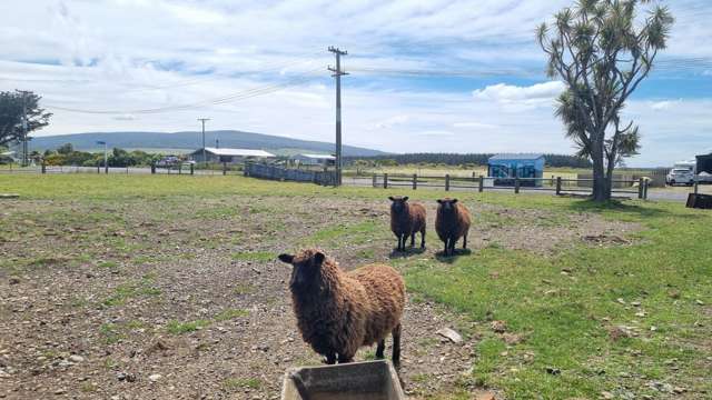 66 Colac Bay Road Colac Bay_4