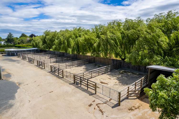 349 Mystery Creek Road Ohaupo_23